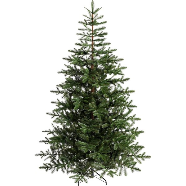 8ft Nordman Fir Christmas Tree