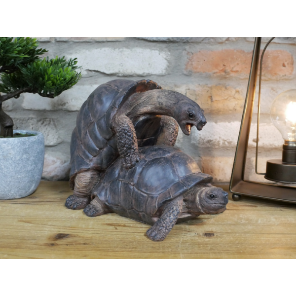Happy Tortoises