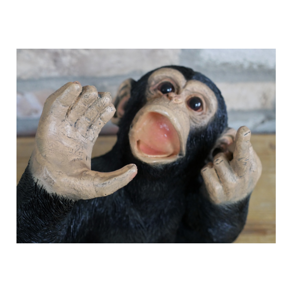 Up Yours Monkey Wine Holder