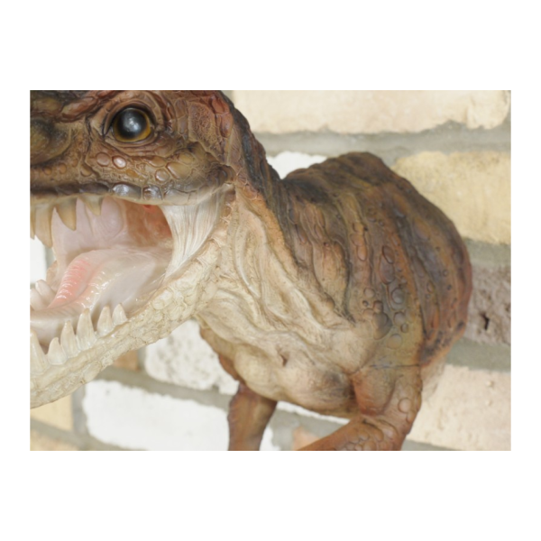 Dinosaur Wall Decoration - Small