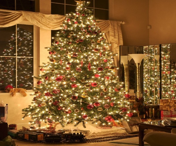 Christmas Trees